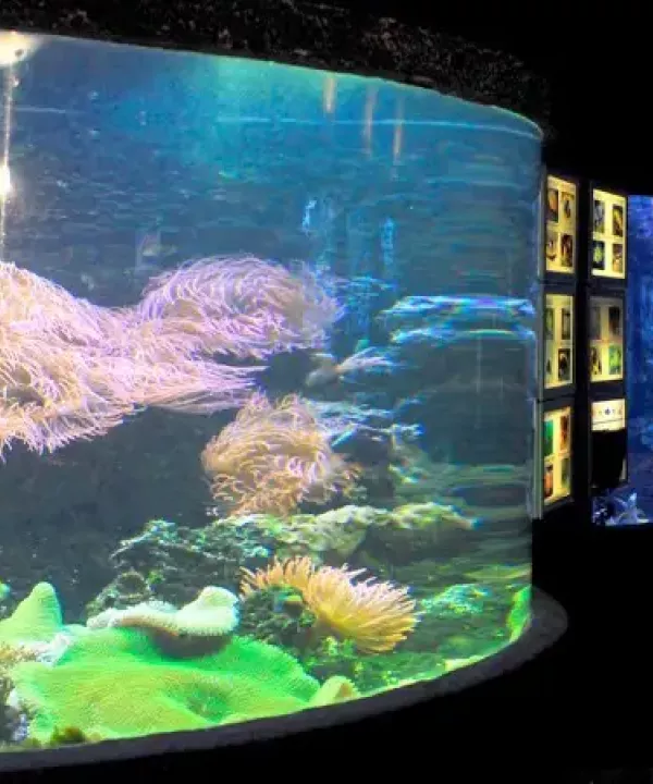 Plexi aquarium (Tropicarium)